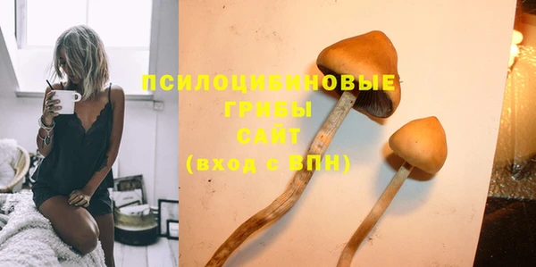 твердый Армянск