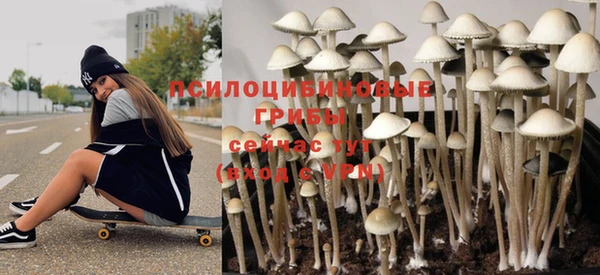 МДПВ Верея